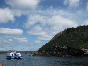 een bootje in Dover Bay | Glovertown